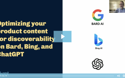 Webinar Replay: Optimize product content for discoverability